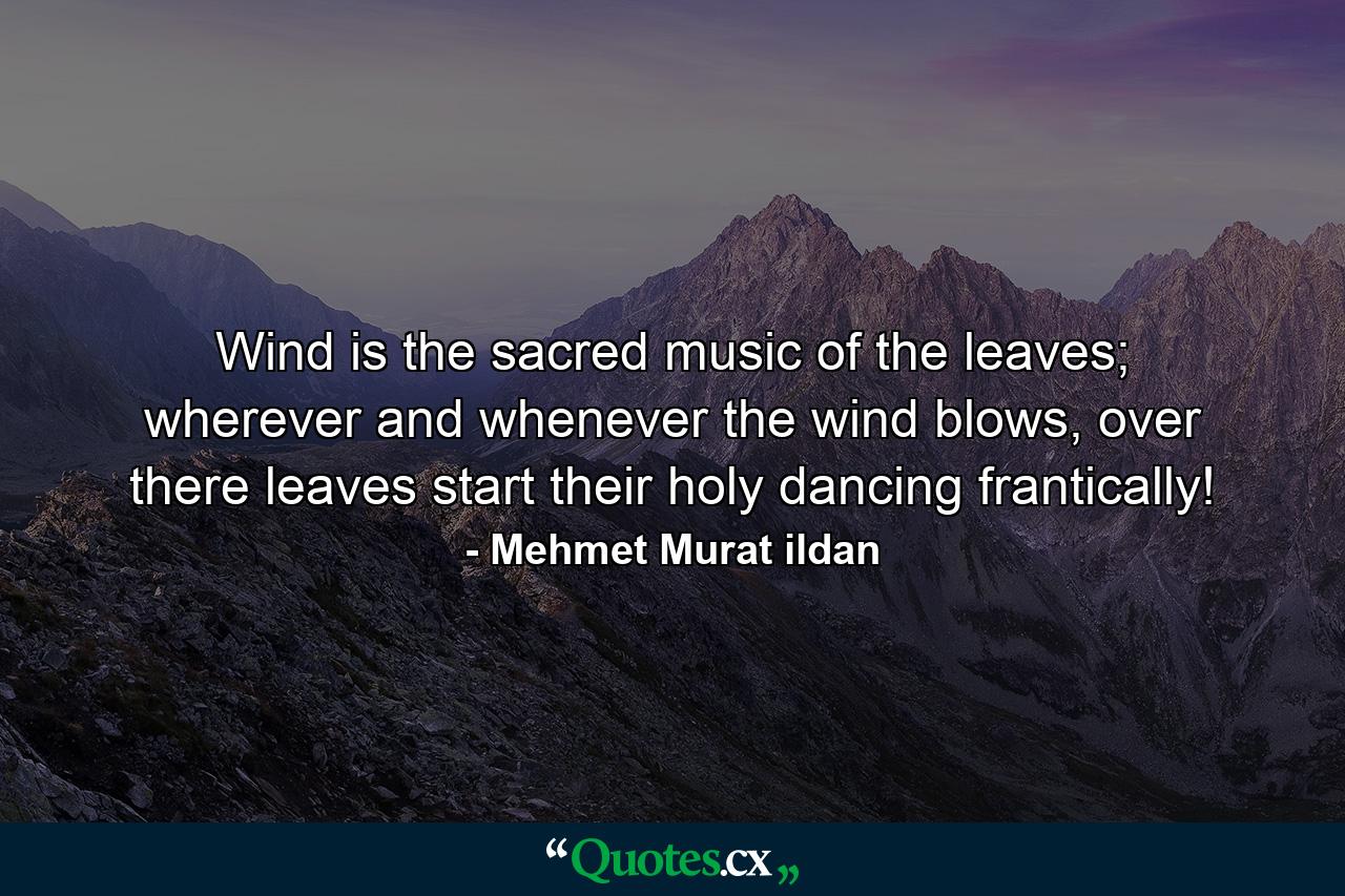 Wind is the sacred music of the leaves; wherever and whenever the wind blows, over there leaves start their holy dancing frantically! - Quote by Mehmet Murat ildan