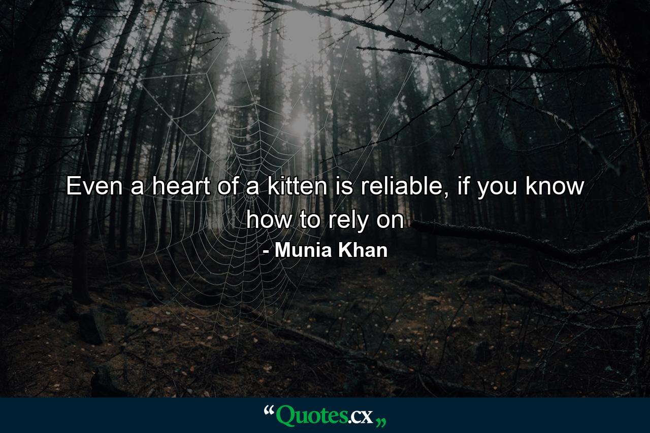 Even a heart of a kitten is reliable, if you know how to rely on - Quote by Munia Khan