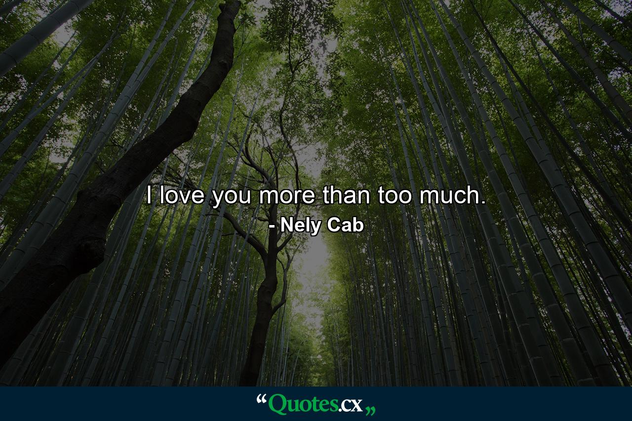 I love you more than too much. - Quote by Nely Cab