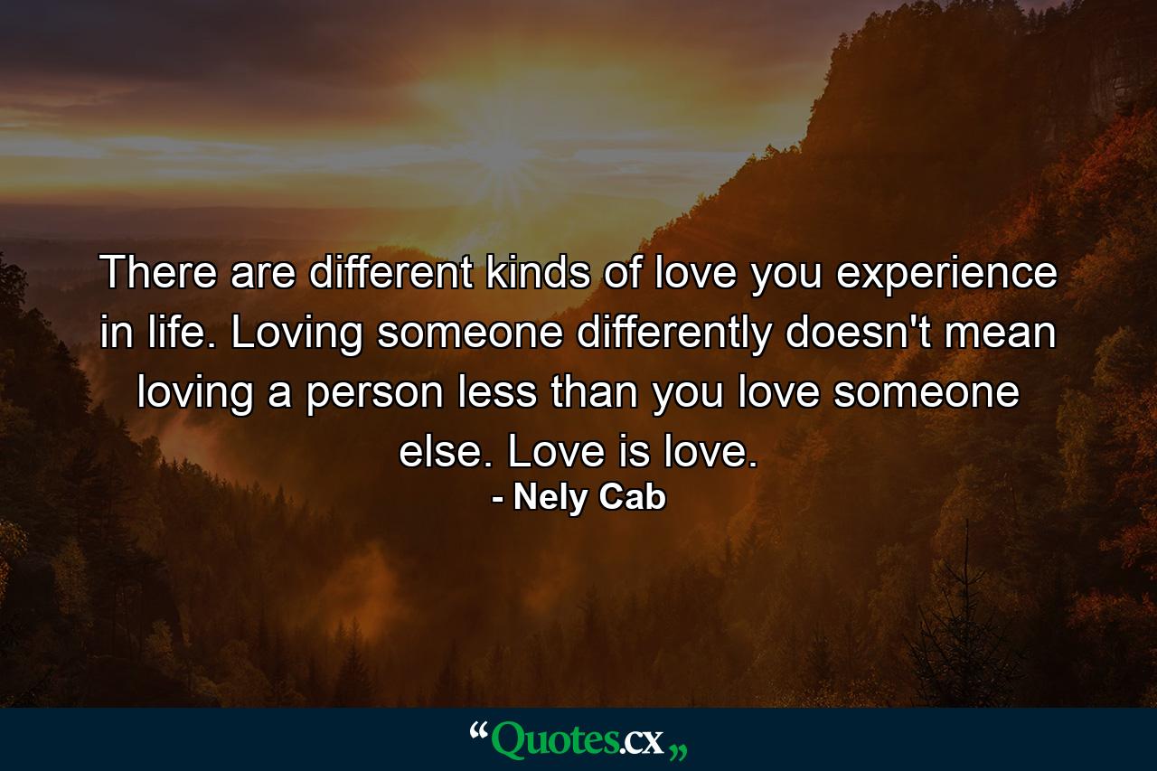 There are different kinds of love you experience in life. Loving someone differently doesn't mean loving a person less than you love someone else. Love is love. - Quote by Nely Cab