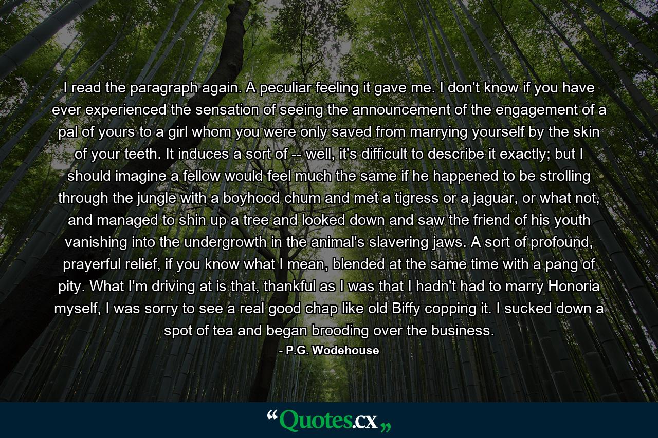 I read the paragraph again. A peculiar feeling it gave me. I don't know if you have ever experienced the sensation of seeing the announcement of the engagement of a pal of yours to a girl whom you were only saved from marrying yourself by the skin of your teeth. It induces a sort of -- well, it's difficult to describe it exactly; but I should imagine a fellow would feel much the same if he happened to be strolling through the jungle with a boyhood chum and met a tigress or a jaguar, or what not, and managed to shin up a tree and looked down and saw the friend of his youth vanishing into the undergrowth in the animal's slavering jaws. A sort of profound, prayerful relief, if you know what I mean, blended at the same time with a pang of pity. What I'm driving at is that, thankful as I was that I hadn't had to marry Honoria myself, I was sorry to see a real good chap like old Biffy copping it. I sucked down a spot of tea and began brooding over the business. - Quote by P.G. Wodehouse