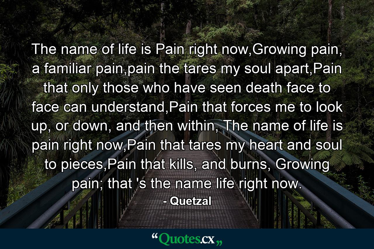 The name of life is Pain right now,Growing pain, a familiar pain,pain the tares my soul apart,Pain that only those who have seen death face to face can understand,Pain that forces me to look up, or down, and then within, The name of life is pain right now,Pain that tares my heart and soul to pieces,Pain that kills, and burns, Growing pain; that 's the name life right now. - Quote by Quetzal