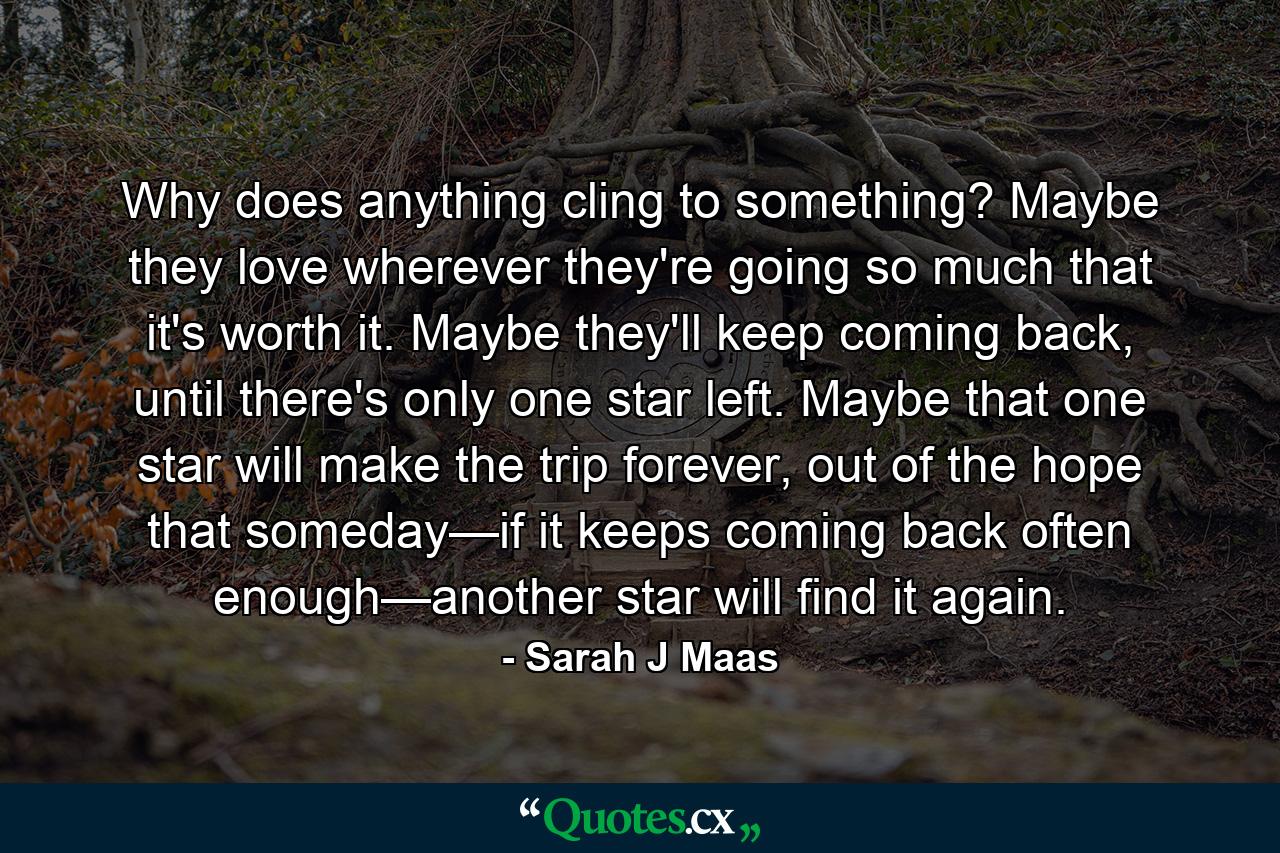 Why does anything cling to something? Maybe they love wherever they're going so much that it's worth it. Maybe they'll keep coming back, until there's only one star left. Maybe that one star will make the trip forever, out of the hope that someday—if it keeps coming back often enough—another star will find it again. - Quote by Sarah J Maas