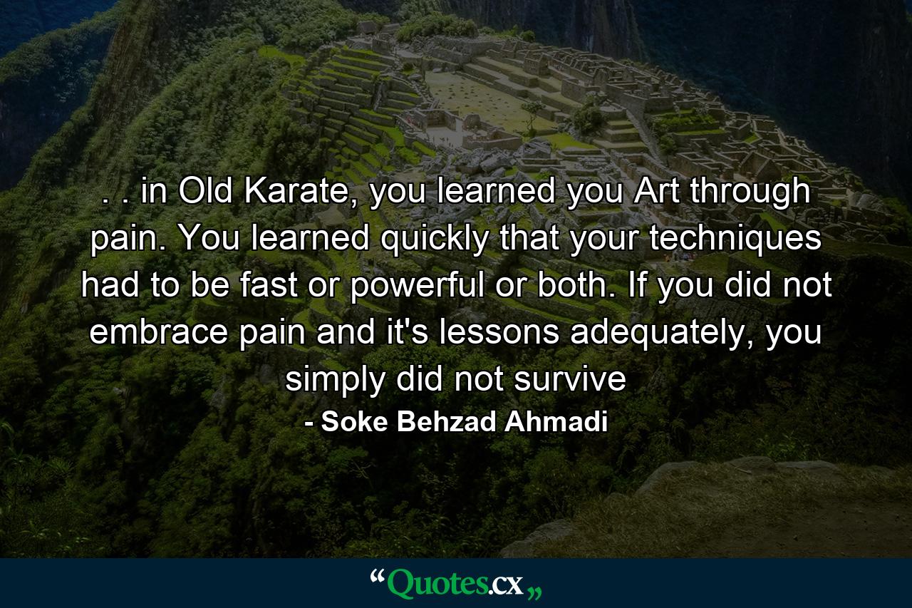 . . in Old Karate, you learned you Art through pain. You learned quickly that your techniques had to be fast or powerful or both. If you did not embrace pain and it's lessons adequately, you simply did not survive - Quote by Soke Behzad Ahmadi