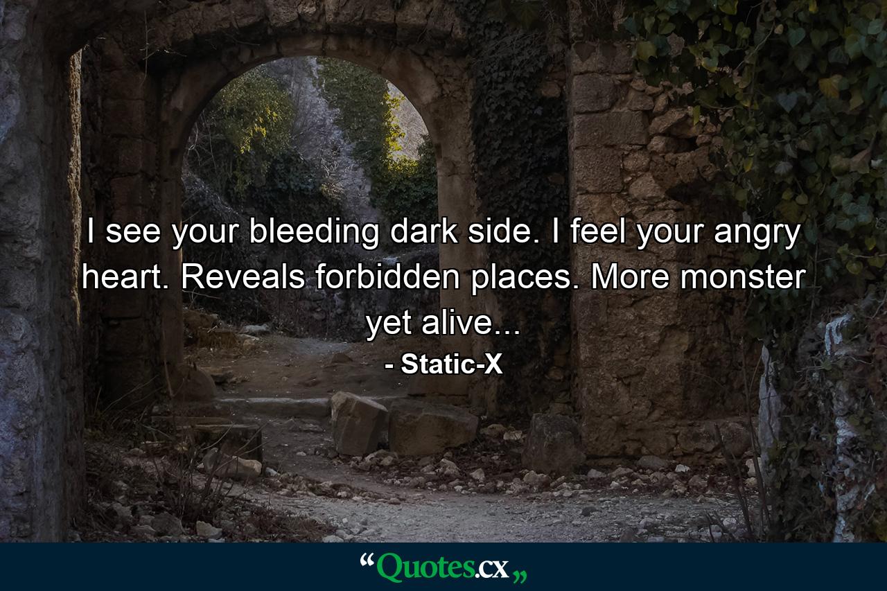 I see your bleeding dark side. I feel your angry heart. Reveals forbidden places. More monster yet alive... - Quote by Static-X