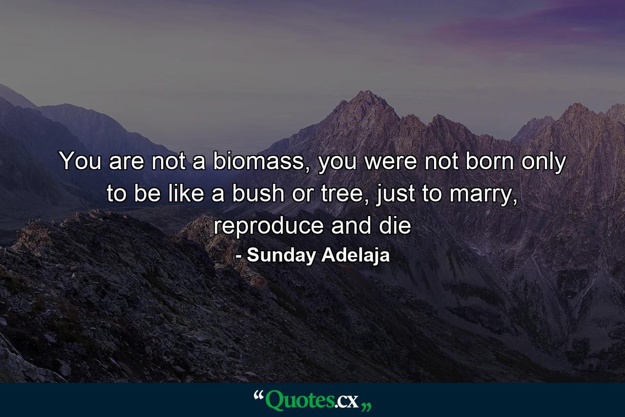 You are not a biomass, you were not born only to be like a bush or tree, just to marry, reproduce and die - Quote by Sunday Adelaja