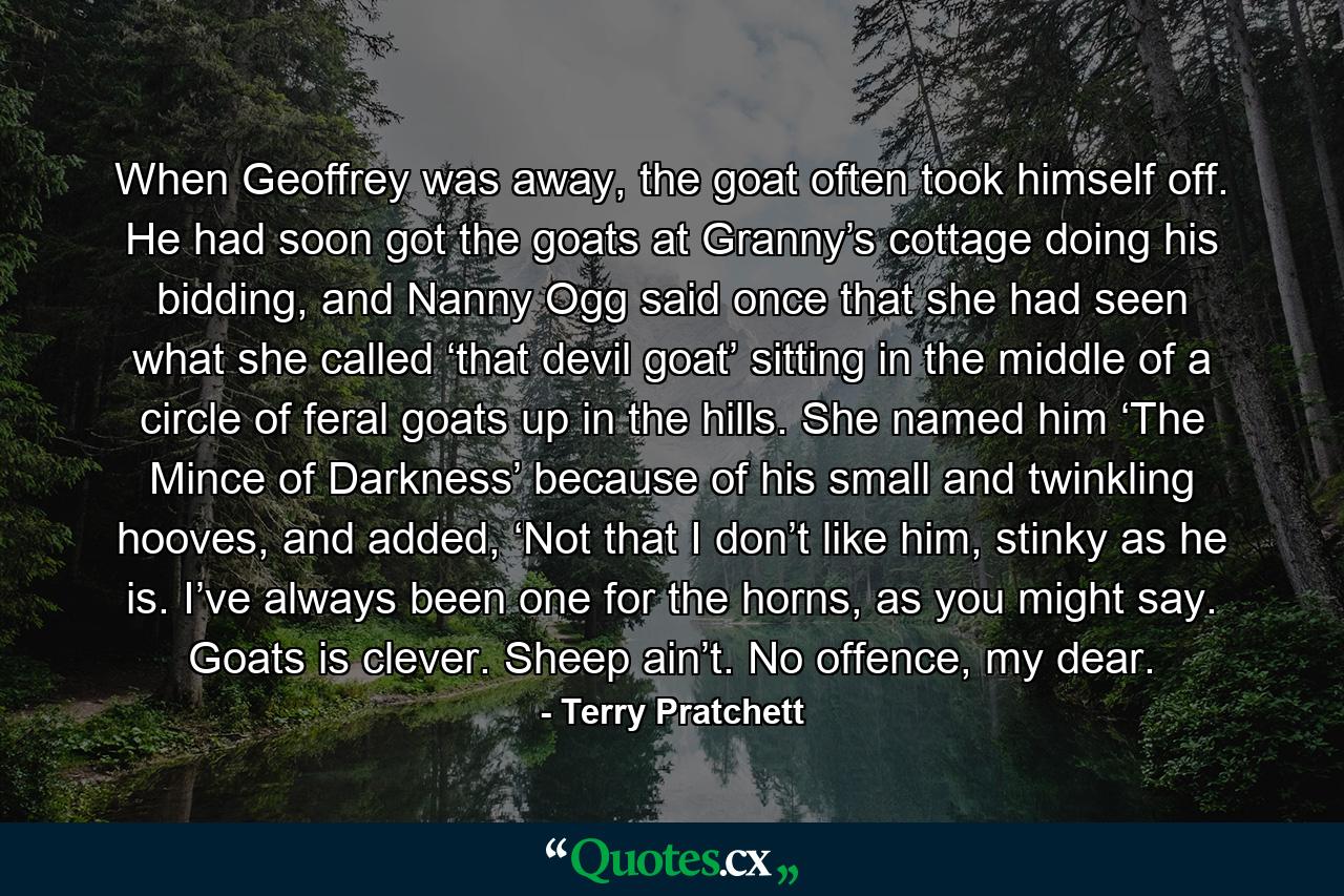 When Geoffrey was away, the goat often took himself off. He had soon got the goats at Granny’s cottage doing his bidding, and Nanny Ogg said once that she had seen what she called ‘that devil goat’ sitting in the middle of a circle of feral goats up in the hills. She named him ‘The Mince of Darkness’ because of his small and twinkling hooves, and added, ‘Not that I don’t like him, stinky as he is. I’ve always been one for the horns, as you might say. Goats is clever. Sheep ain’t. No offence, my dear. - Quote by Terry Pratchett