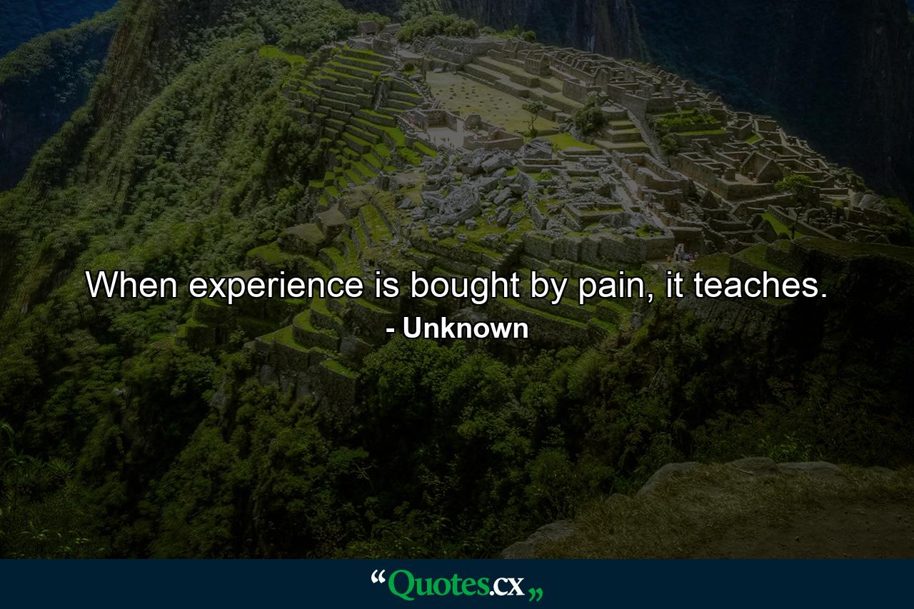 When experience is bought by pain, it teaches. - Quote by Unknown