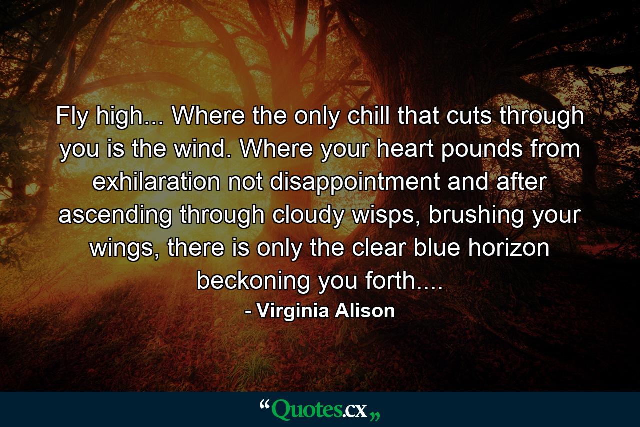 Fly high... Where the only chill that cuts through you is the wind. Where your heart pounds from exhilaration not disappointment and after ascending through cloudy wisps, brushing your wings, there is only the clear blue horizon beckoning you forth.... - Quote by Virginia Alison