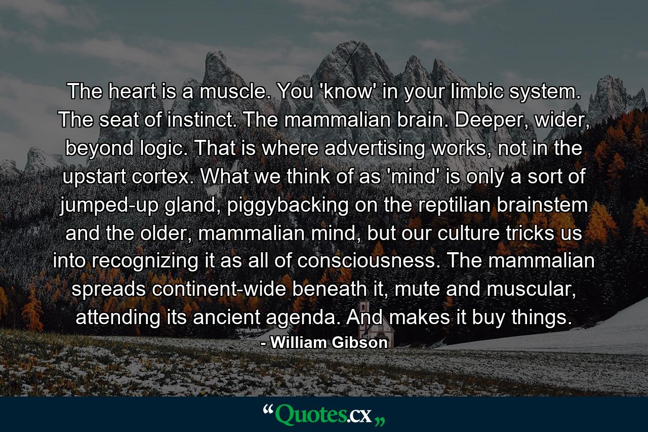 The heart is a muscle. You 'know' in your limbic system. The seat of instinct. The mammalian brain. Deeper, wider, beyond logic. That is where advertising works, not in the upstart cortex. What we think of as 'mind' is only a sort of jumped-up gland, piggybacking on the reptilian brainstem and the older, mammalian mind, but our culture tricks us into recognizing it as all of consciousness. The mammalian spreads continent-wide beneath it, mute and muscular, attending its ancient agenda. And makes it buy things. - Quote by William Gibson