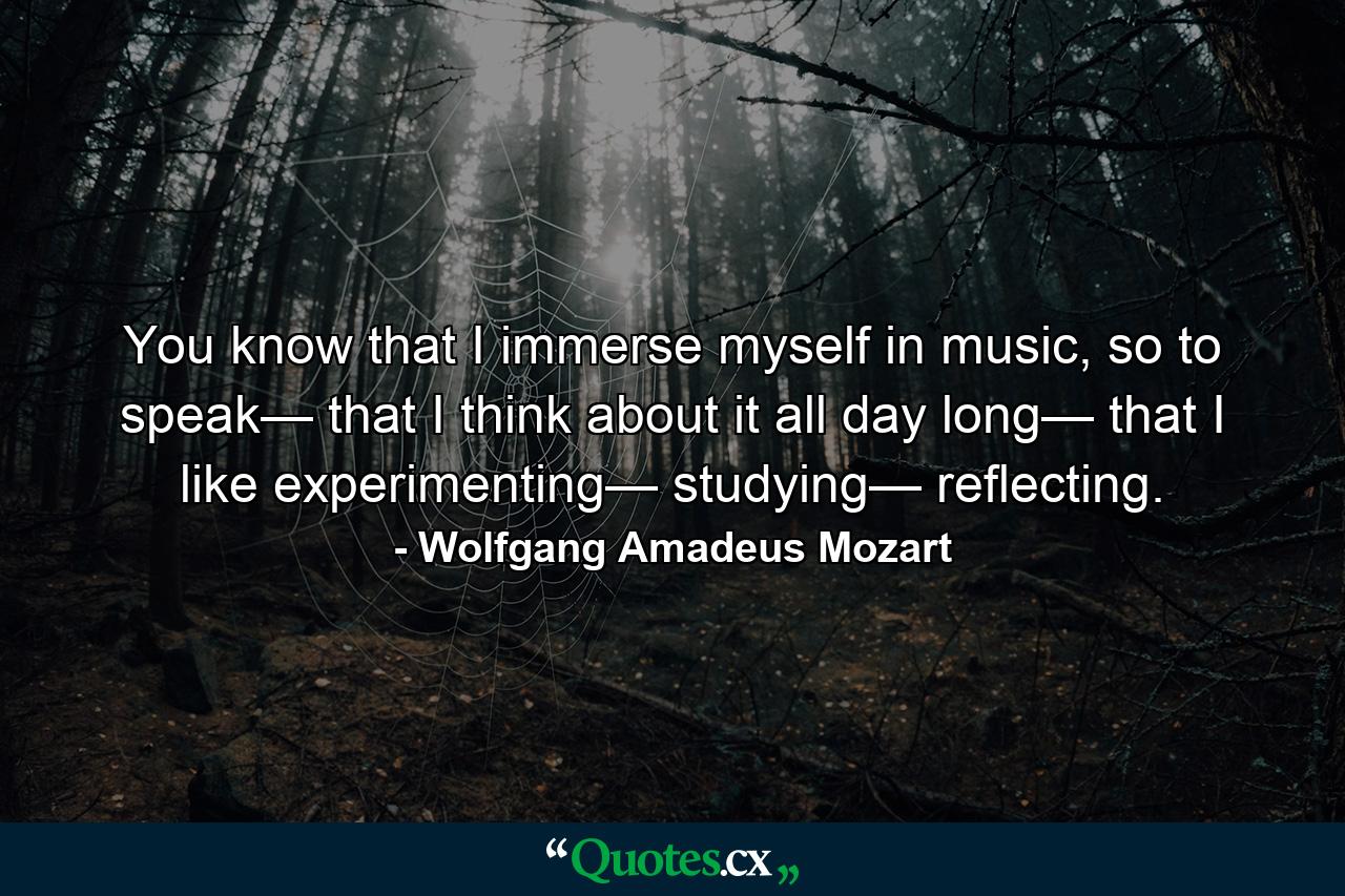 You know that I immerse myself in music, so to speak— that I think about it all day long— that I like experimenting— studying— reflecting. - Quote by Wolfgang Amadeus Mozart