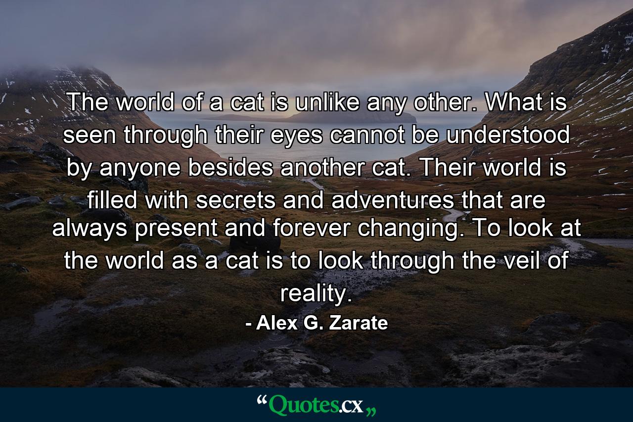 The world of a cat is unlike any other. What is seen through their eyes cannot be understood by anyone besides another cat. Their world is filled with secrets and adventures that are always present and forever changing. To look at the world as a cat is to look through the veil of reality. - Quote by Alex G. Zarate