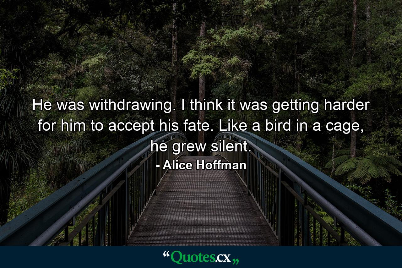 He was withdrawing. I think it was getting harder for him to accept his fate. Like a bird in a cage, he grew silent. - Quote by Alice Hoffman