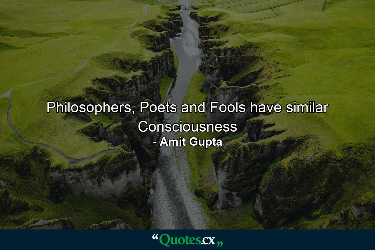 Philosophers, Poets and Fools have similar Consciousness - Quote by Amit Gupta