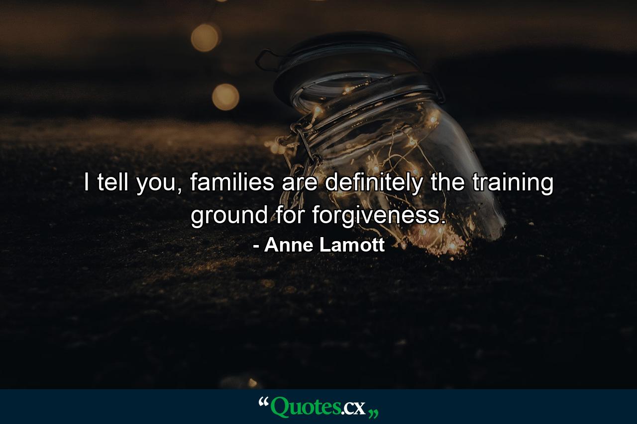 I tell you, families are definitely the training ground for forgiveness. - Quote by Anne Lamott