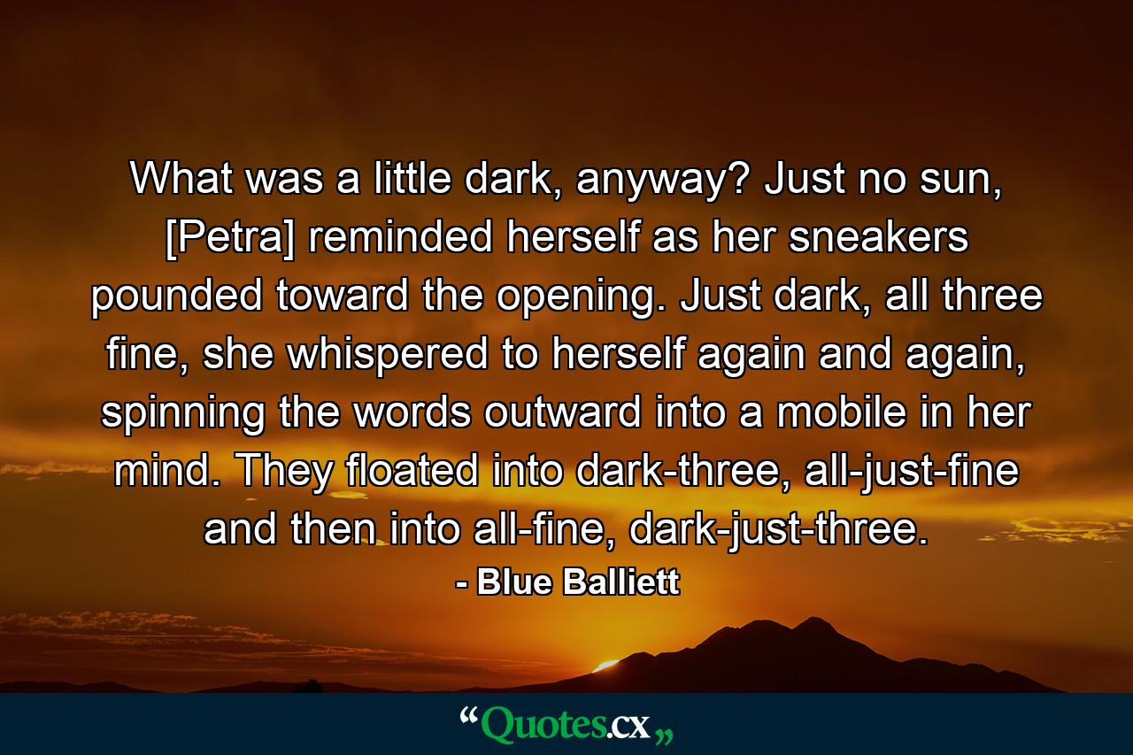 What was a little dark, anyway? Just no sun, [Petra] reminded herself as her sneakers pounded toward the opening. Just dark, all three fine, she whispered to herself again and again, spinning the words outward into a mobile in her mind. They floated into dark-three, all-just-fine and then into all-fine, dark-just-three. - Quote by Blue Balliett