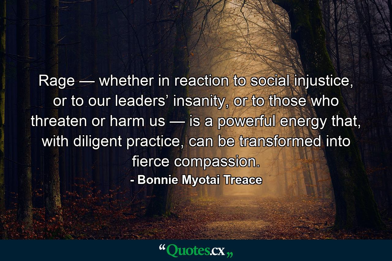 Rage — whether in reaction to social injustice, or to our leaders’ insanity, or to those who threaten or harm us — is a powerful energy that, with diligent practice, can be transformed into fierce compassion. - Quote by Bonnie Myotai Treace