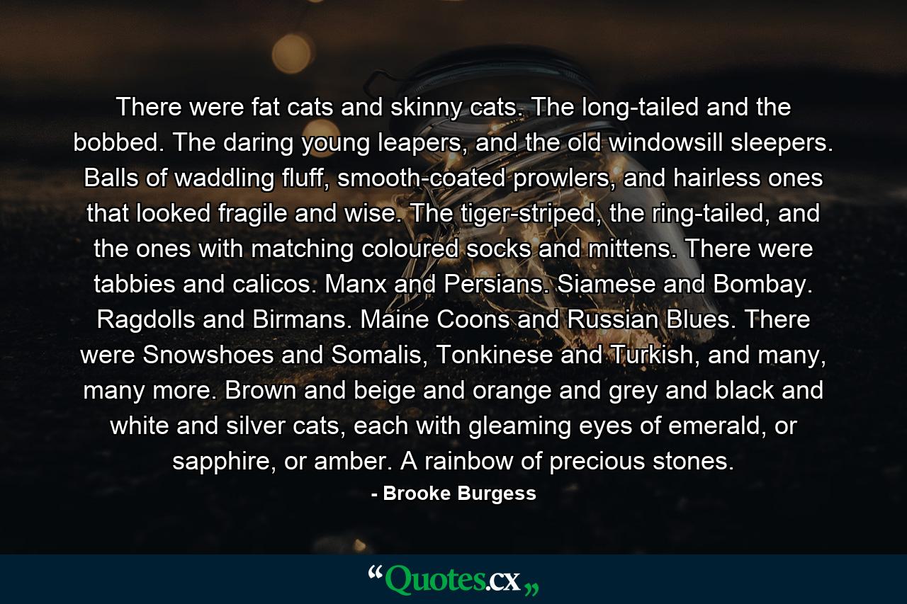 There were fat cats and skinny cats. The long-tailed and the bobbed. The daring young leapers, and the old windowsill sleepers. Balls of waddling fluff, smooth-coated prowlers, and hairless ones that looked fragile and wise. The tiger-striped, the ring-tailed, and the ones with matching coloured socks and mittens. There were tabbies and calicos. Manx and Persians. Siamese and Bombay. Ragdolls and Birmans. Maine Coons and Russian Blues. There were Snowshoes and Somalis, Tonkinese and Turkish, and many, many more. Brown and beige and orange and grey and black and white and silver cats, each with gleaming eyes of emerald, or sapphire, or amber. A rainbow of precious stones. - Quote by Brooke Burgess