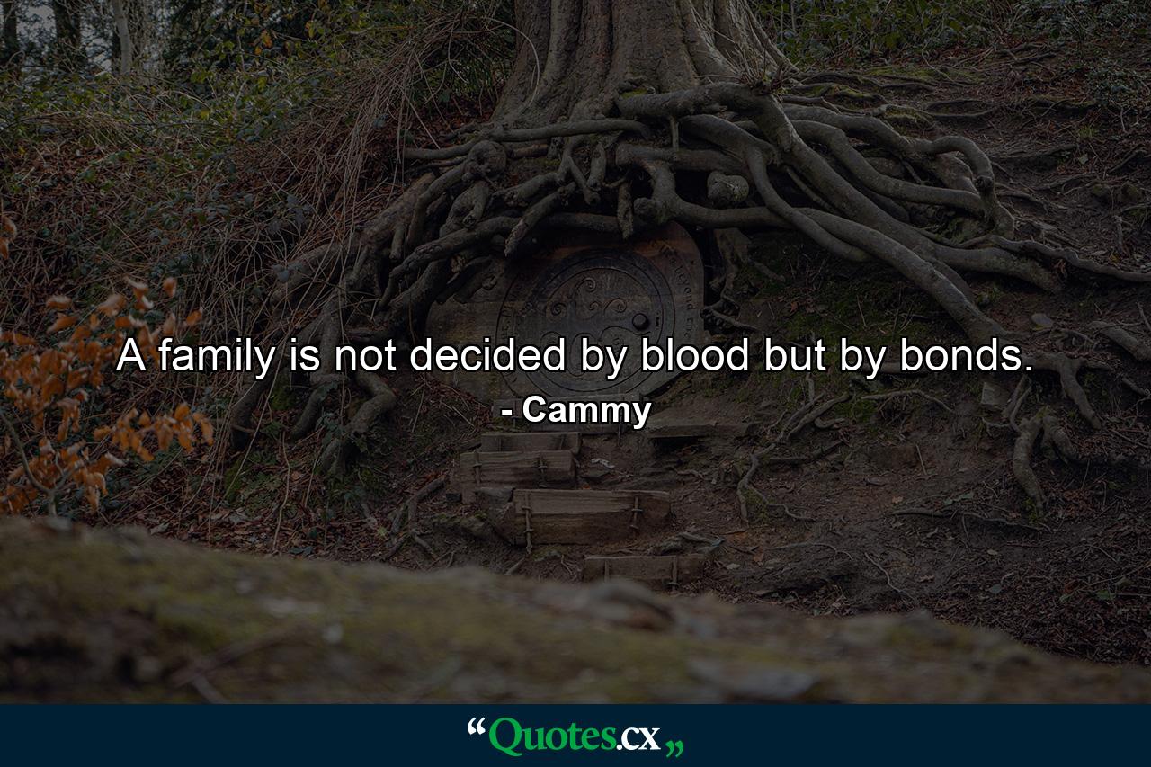 A family is not decided by blood but by bonds. - Quote by Cammy