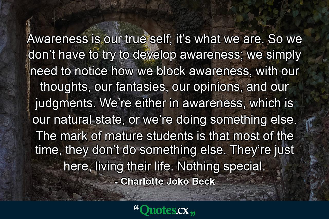 Awareness is our true self; it’s what we are. So we don’t have to try to develop awareness; we simply need to notice how we block awareness, with our thoughts, our fantasies, our opinions, and our judgments. We’re either in awareness, which is our natural state, or we’re doing something else. The mark of mature students is that most of the time, they don’t do something else. They’re just here, living their life. Nothing special. - Quote by Charlotte Joko Beck