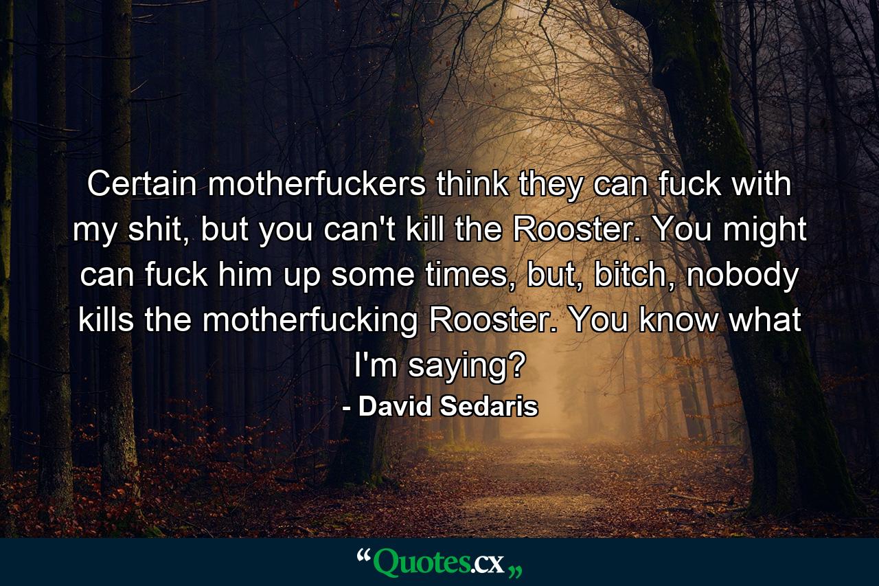 Certain motherfuckers think they can fuck with my shit, but you can't kill the Rooster. You might can fuck him up some times, but, bitch, nobody kills the motherfucking Rooster. You know what I'm saying? - Quote by David Sedaris