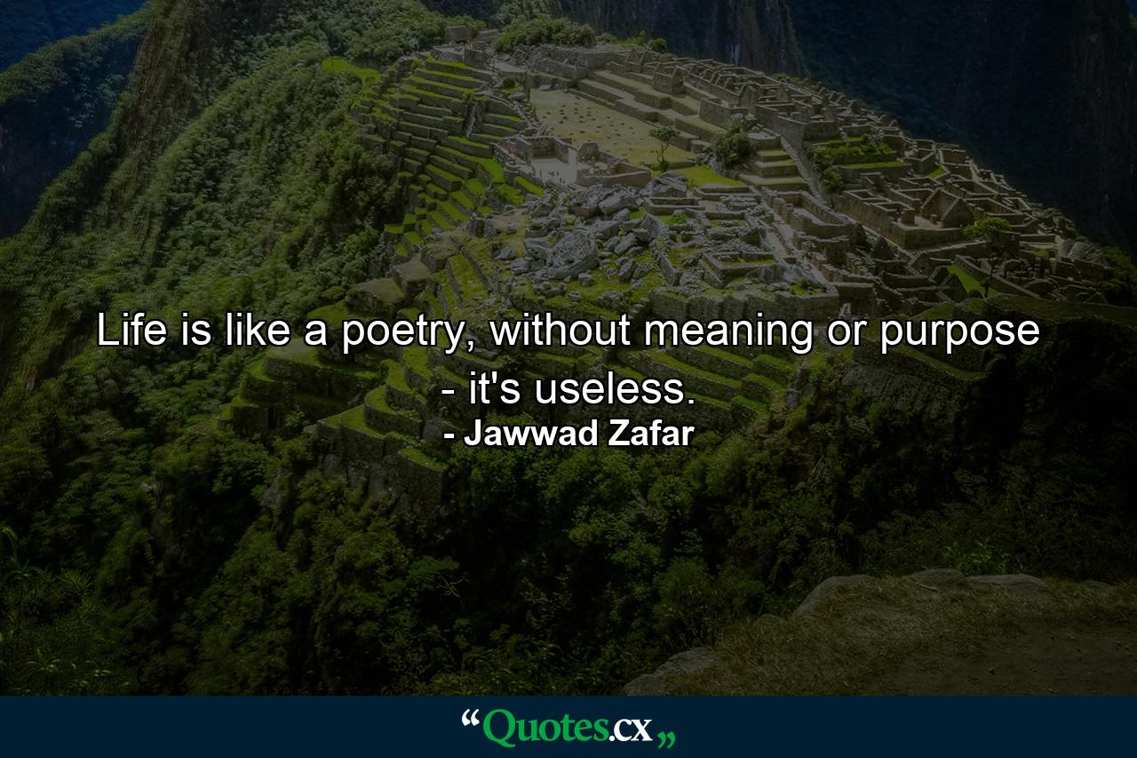 Life is like a poetry, without meaning or purpose - it's useless. - Quote by Jawwad Zafar