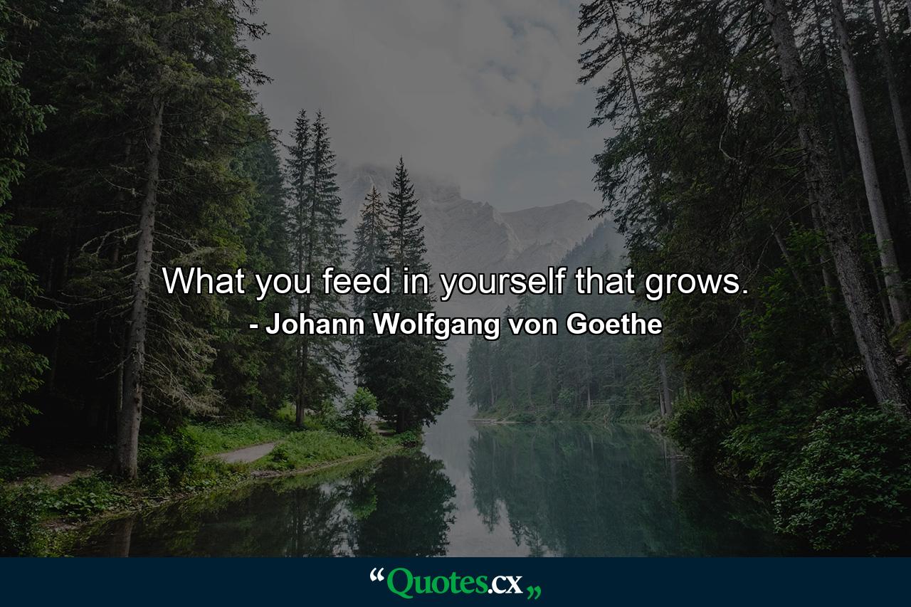 What you feed in yourself that grows. - Quote by Johann Wolfgang von Goethe