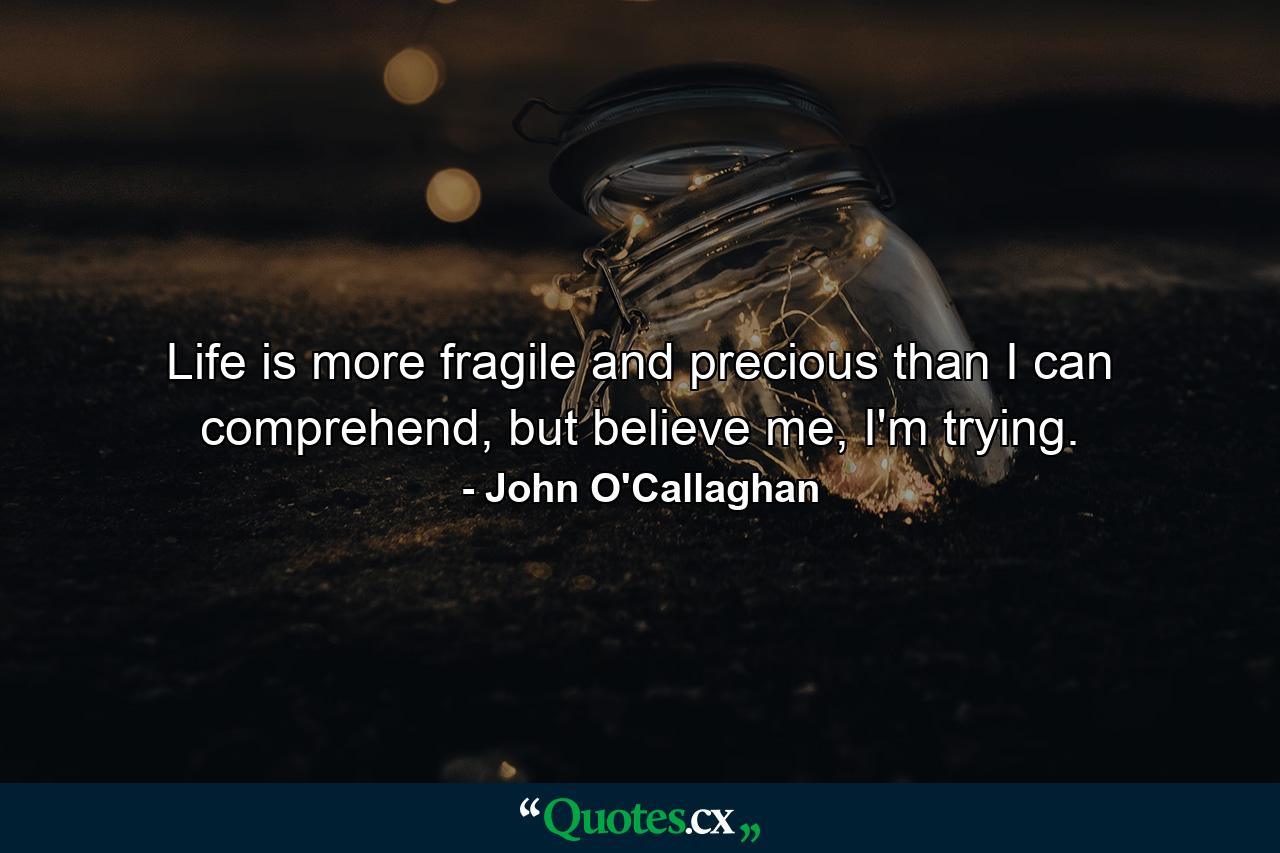 Life is more fragile and precious than I can comprehend, but believe me, I'm trying. - Quote by John O'Callaghan