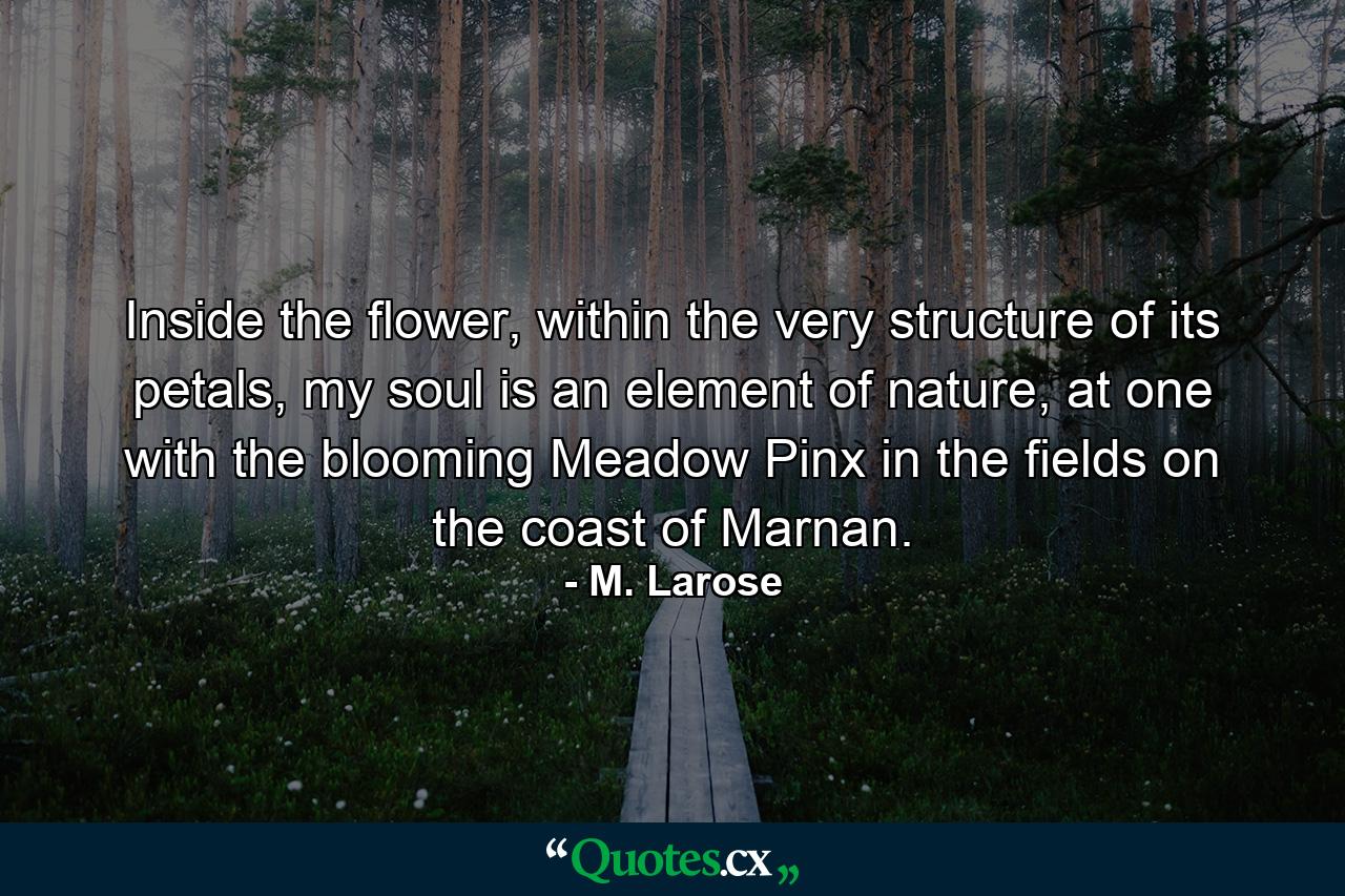 Inside the flower, within the very structure of its petals, my soul is an element of nature, at one with the blooming Meadow Pinx in the fields on the coast of Marnan. - Quote by M. Larose