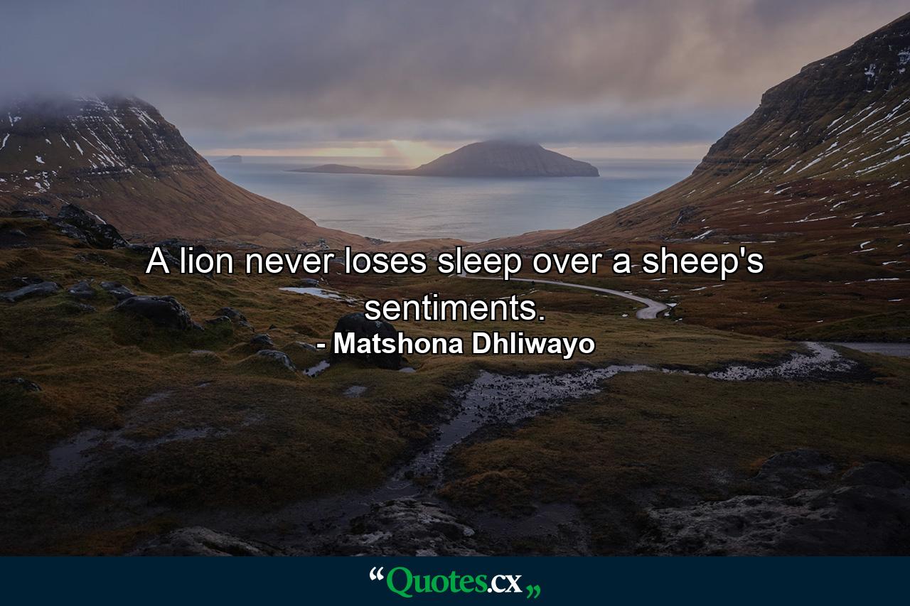 A lion never loses sleep over a sheep's sentiments. - Quote by Matshona Dhliwayo