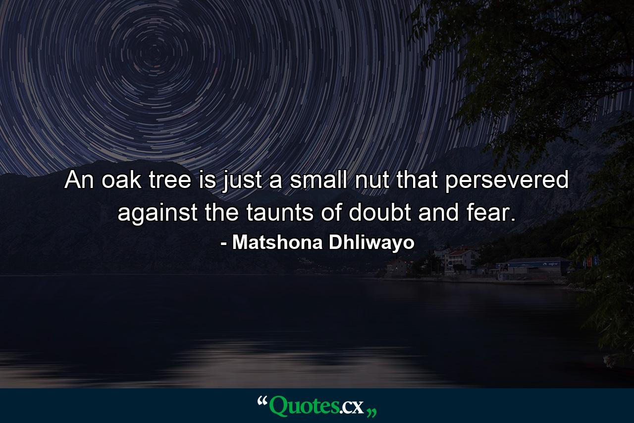 An oak tree is just a small nut that persevered against the taunts of doubt and fear. - Quote by Matshona Dhliwayo