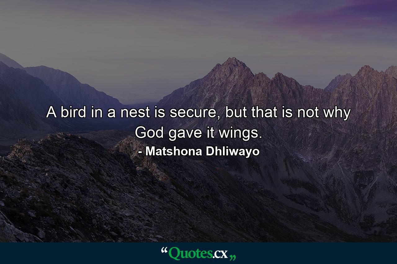 A bird in a nest is secure, but that is not why God gave it wings. - Quote by Matshona Dhliwayo