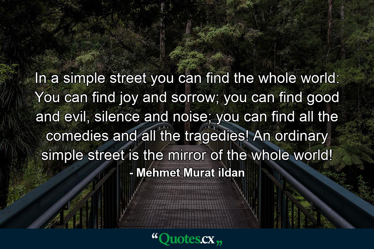 In a simple street you can find the whole world: You can find joy and sorrow; you can find good and evil, silence and noise; you can find all the comedies and all the tragedies! An ordinary simple street is the mirror of the whole world! - Quote by Mehmet Murat ildan