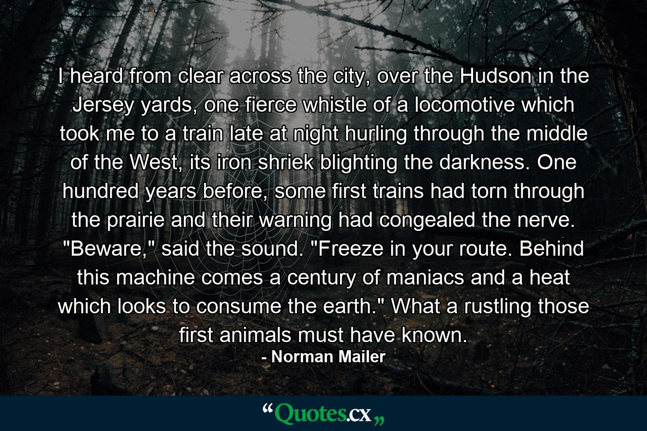 I heard from clear across the city, over the Hudson in the Jersey yards, one fierce whistle of a locomotive which took me to a train late at night hurling through the middle of the West, its iron shriek blighting the darkness. One hundred years before, some first trains had torn through the prairie and their warning had congealed the nerve. 