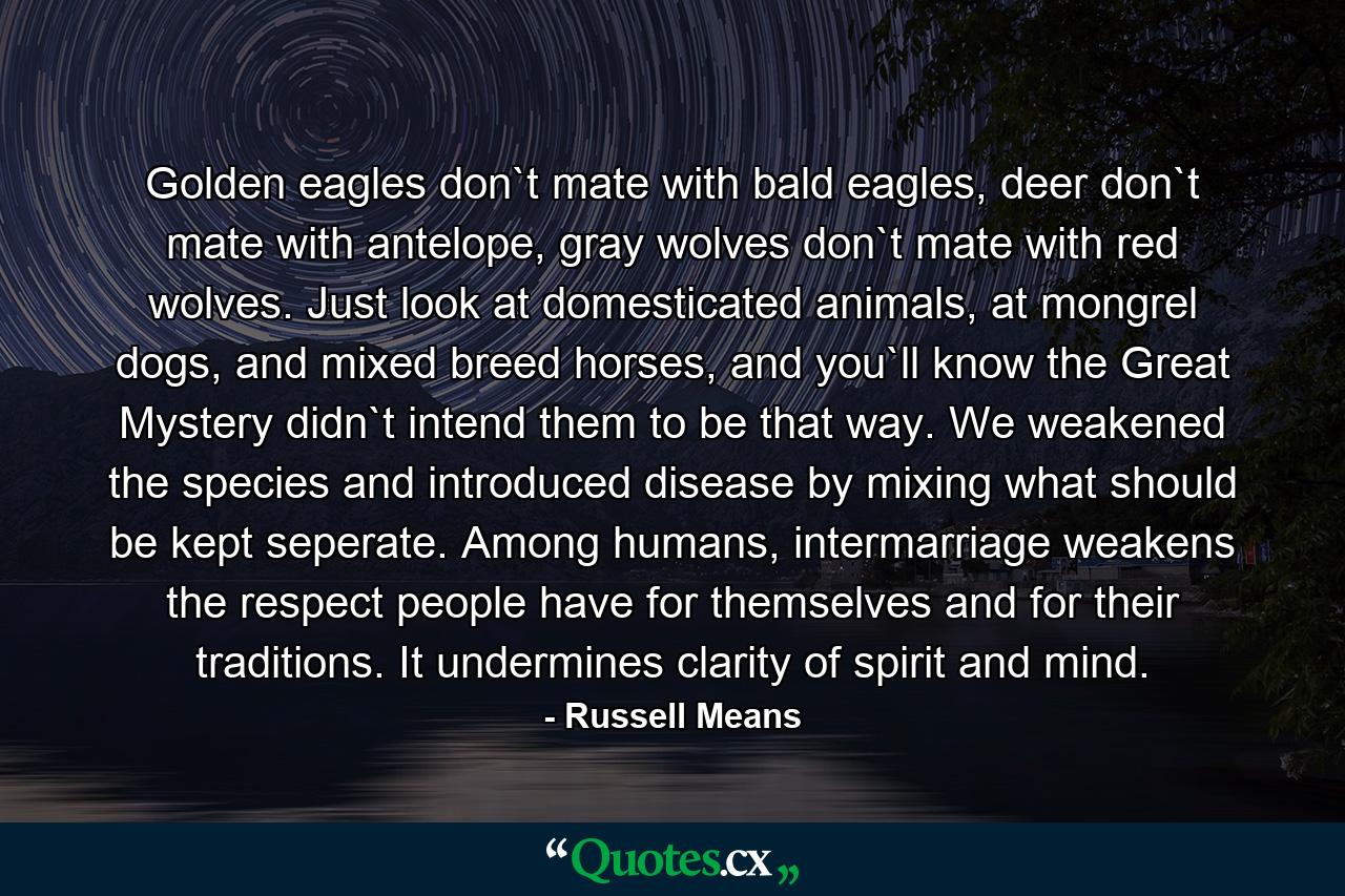 Golden eagles don`t mate with bald eagles, deer don`t mate with antelope, gray wolves don`t mate with red wolves. Just look at domesticated animals, at mongrel dogs, and mixed breed horses, and you`ll know the Great Mystery didn`t intend them to be that way. We weakened the species and introduced disease by mixing what should be kept seperate. Among humans, intermarriage weakens the respect people have for themselves and for their traditions. It undermines clarity of spirit and mind. - Quote by Russell Means