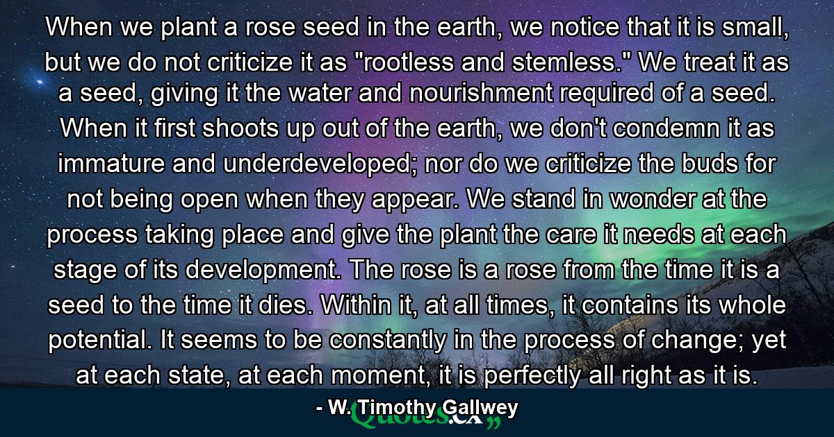 When we plant a rose seed in the earth, we notice that it is small, but we do not criticize it as 