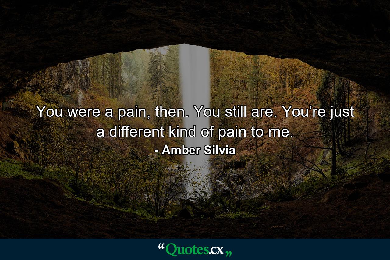 You were a pain, then. You still are. You’re just a different kind of pain to me. - Quote by Amber Silvia