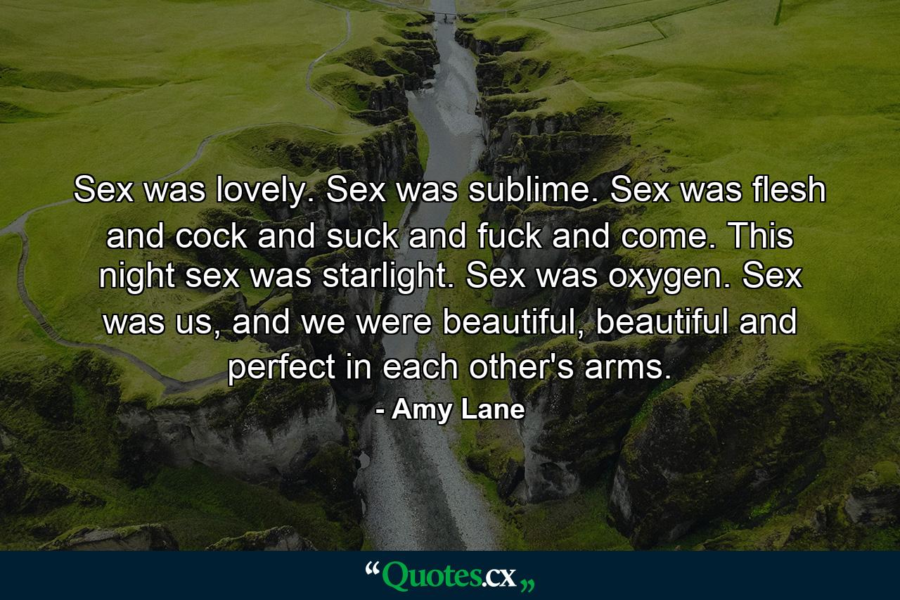 Sex was lovely. Sex was sublime. Sex was flesh and cock and suck and fuck and come. This night sex was starlight. Sex was oxygen. Sex was us, and we were beautiful, beautiful and perfect in each other's arms. - Quote by Amy Lane