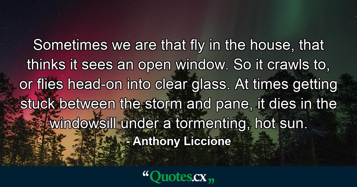 Sometimes we are that fly in the house, that thinks it sees an open window. So it crawls to, or flies head-on into clear glass. At times getting stuck between the storm and pane, it dies in the windowsill under a tormenting, hot sun. - Quote by Anthony Liccione