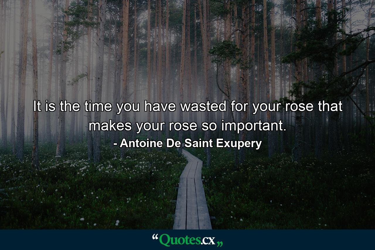 It is the time you have wasted for your rose that makes your rose so important. - Quote by Antoine De Saint Exupery