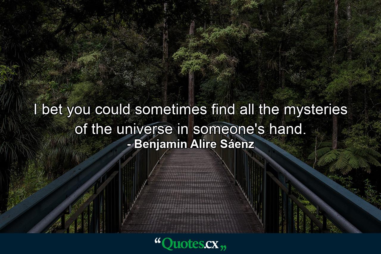 I bet you could sometimes find all the mysteries of the universe in someone's hand. - Quote by Benjamin Alire Sáenz