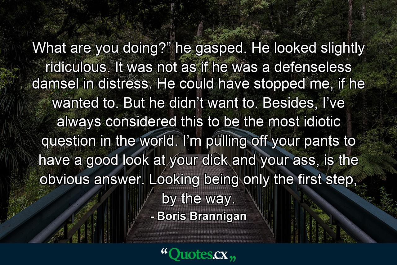 What are you doing?” he gasped. He looked slightly ridiculous. It was not as if he was a defenseless damsel in distress. He could have stopped me, if he wanted to. But he didn’t want to. Besides, I’ve always considered this to be the most idiotic question in the world. I’m pulling off your pants to have a good look at your dick and your ass, is the obvious answer. Looking being only the first step, by the way. - Quote by Boris Brannigan