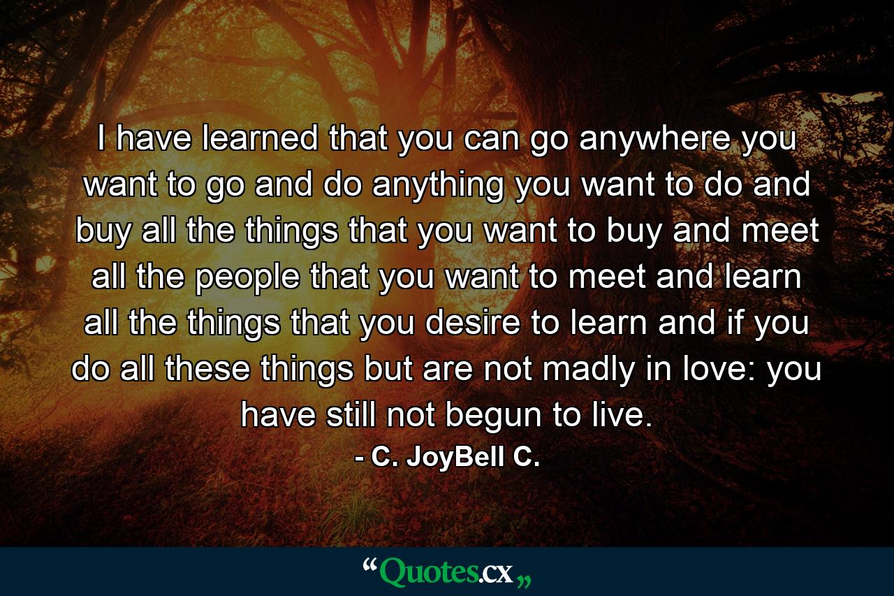 I have learned that you can go anywhere you want to go and do anything you want to do and buy all the things that you want to buy and meet all the people that you want to meet and learn all the things that you desire to learn and if you do all these things but are not madly in love: you have still not begun to live. - Quote by C. JoyBell C.