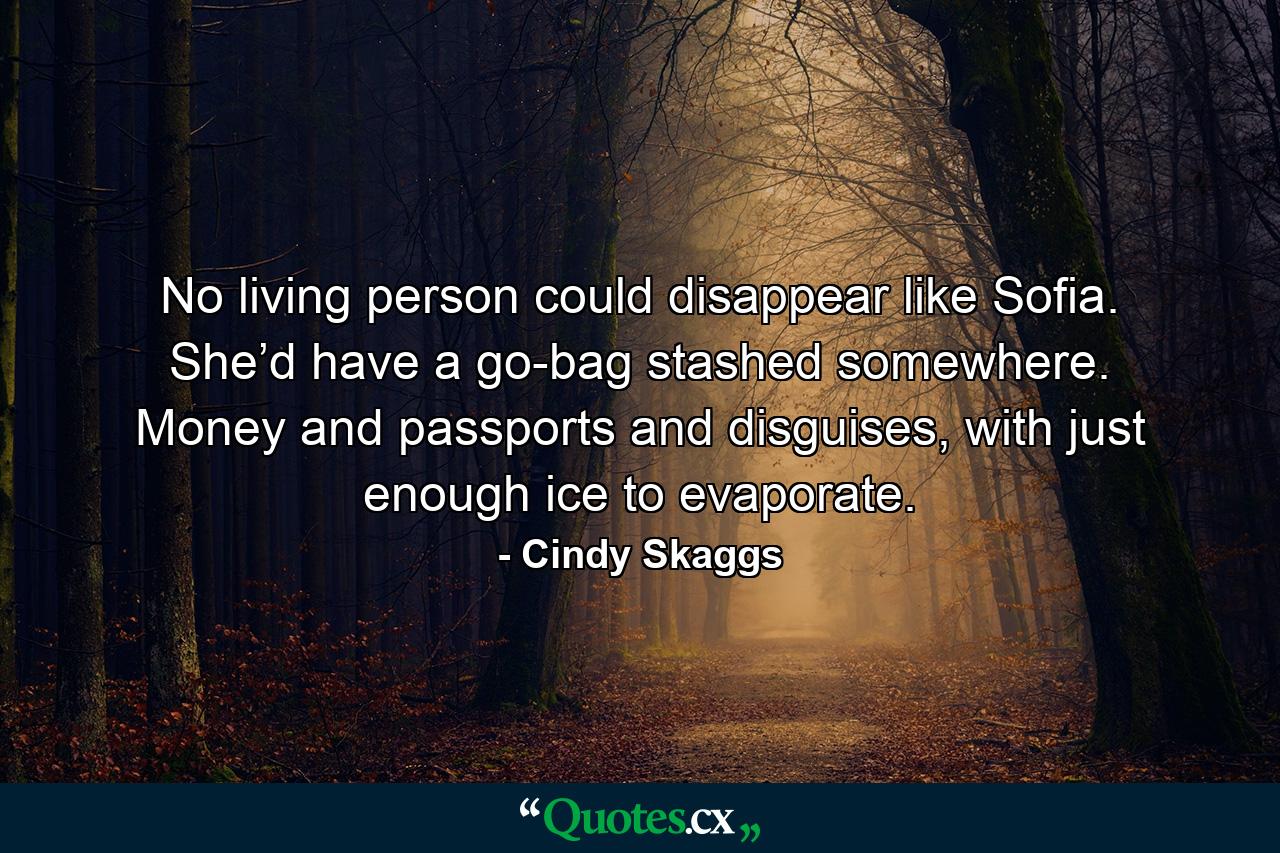 No living person could disappear like Sofia. She’d have a go-bag stashed somewhere. Money and passports and disguises, with just enough ice to evaporate. - Quote by Cindy Skaggs