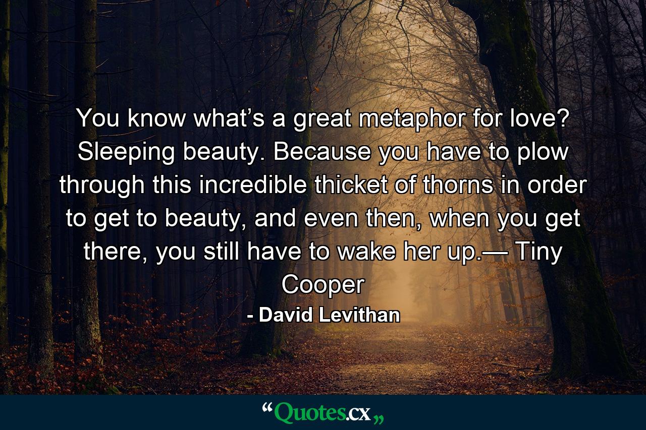 You know what’s a great metaphor for love? Sleeping beauty. Because you have to plow through this incredible thicket of thorns in order to get to beauty, and even then, when you get there, you still have to wake her up.— Tiny Cooper - Quote by David Levithan