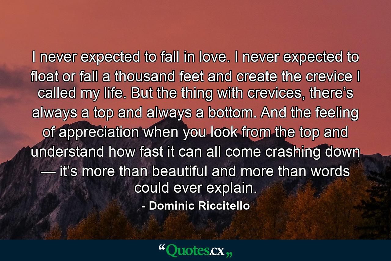 I never expected to fall in love. I never expected to float or fall a thousand feet and create the crevice I called my life. But the thing with crevices, there’s always a top and always a bottom. And the feeling of appreciation when you look from the top and understand how fast it can all come crashing down — it’s more than beautiful and more than words could ever explain. - Quote by Dominic Riccitello