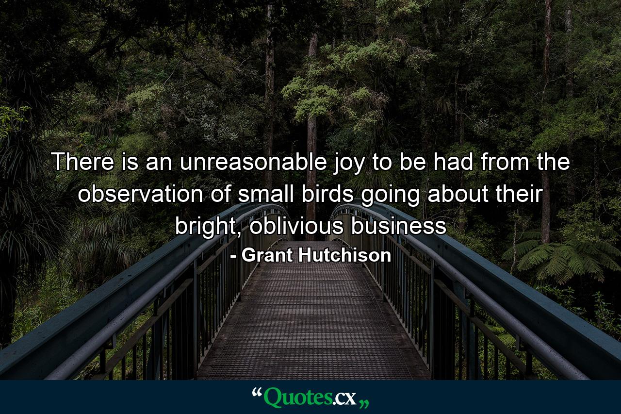 There is an unreasonable joy to be had from the observation of small birds going about their bright, oblivious business - Quote by Grant Hutchison