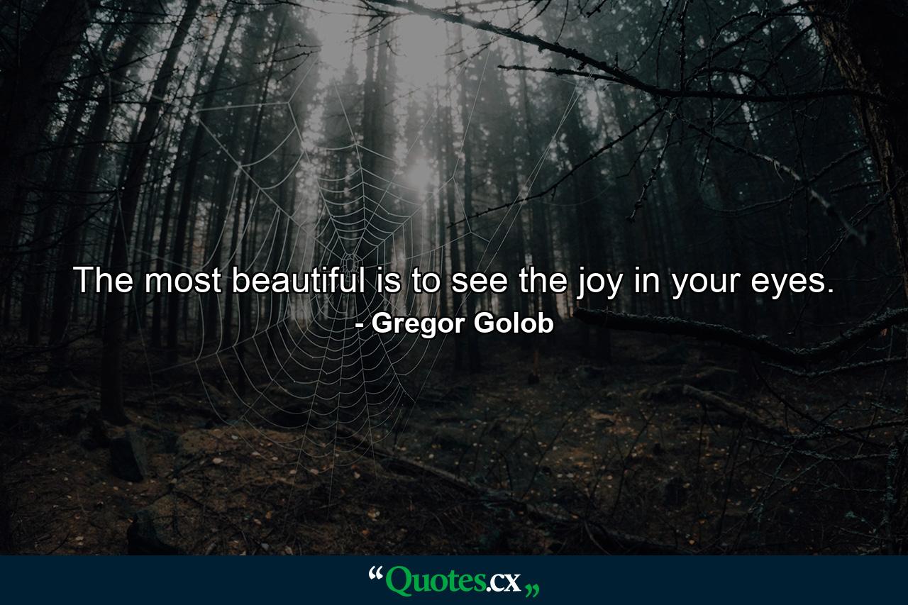 The most beautiful is to see the joy in your eyes. - Quote by Gregor Golob