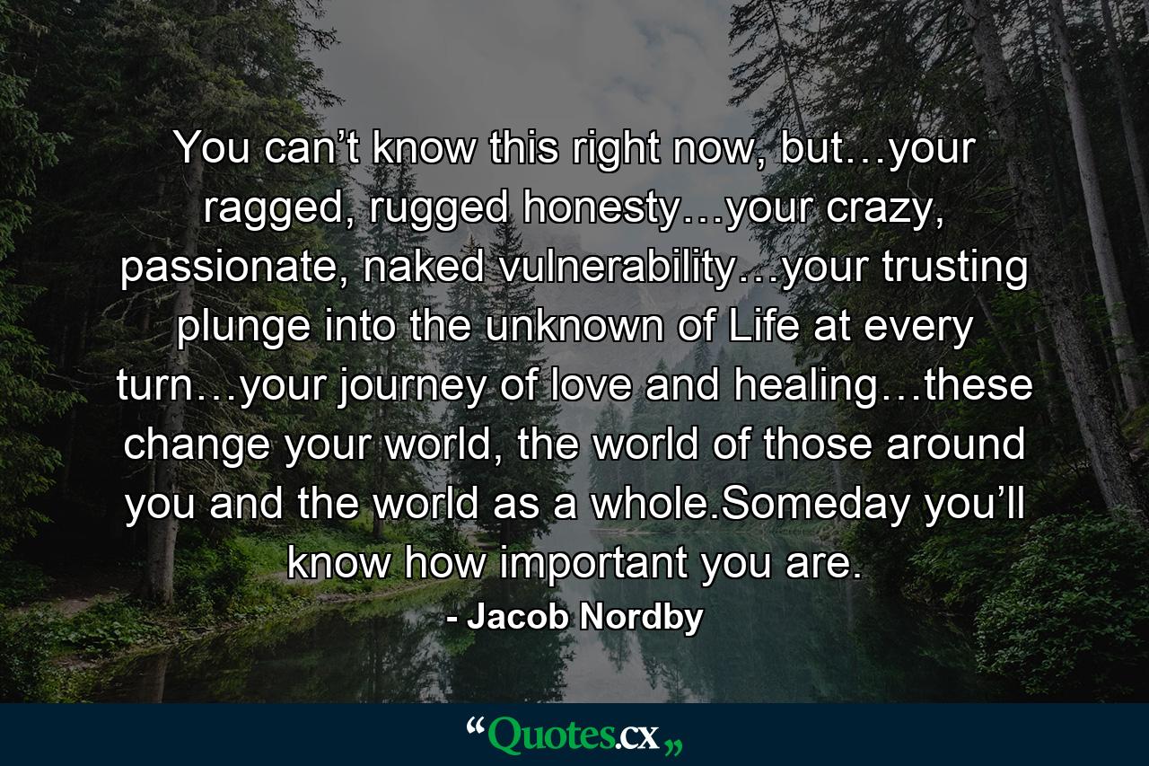 You can’t know this right now, but…your ragged, rugged honesty…your crazy, passionate, naked vulnerability…your trusting plunge into the unknown of Life at every turn…your journey of love and healing…these change your world, the world of those around you and the world as a whole.Someday you’ll know how important you are. - Quote by Jacob Nordby