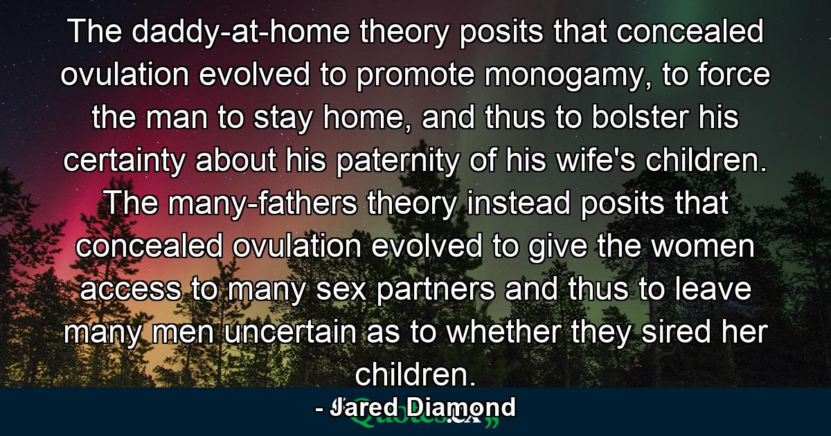 The daddy-at-home theory posits that concealed ovulation evolved to promote monogamy, to force the man to stay home, and thus to bolster his certainty about his paternity of his wife's children. The many-fathers theory instead posits that concealed ovulation evolved to give the women access to many sex partners and thus to leave many men uncertain as to whether they sired her children. - Quote by Jared Diamond